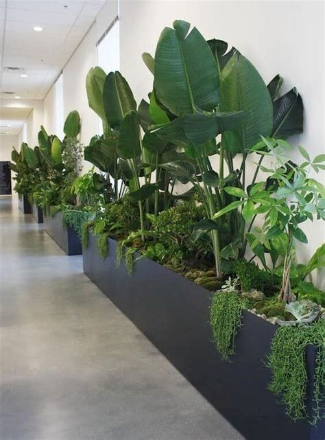 80 Indoor Garden Office And Office Plants Design Ideas For Summer