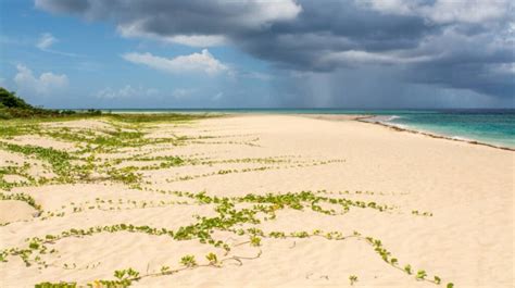 Descubre Las Playas Más Impresionantes De St Croix Que Te Dejarán Sin