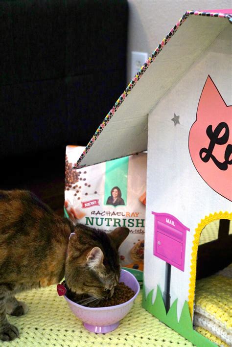 As an amazon associate i earn from qualifying purchases. DIY Cardboard Cat House - Happiness is Homemade