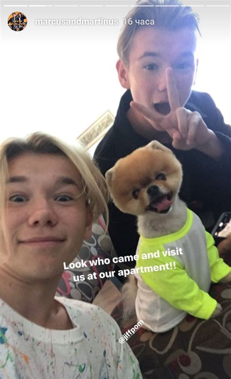 Pin By Dtsilimeni On Γλυκά Marcus And Martinus Marcus I Go Crazy