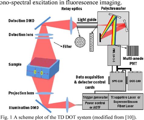 Figure 1 From Multispectral Time Resolved Diffuse Optical Tomography