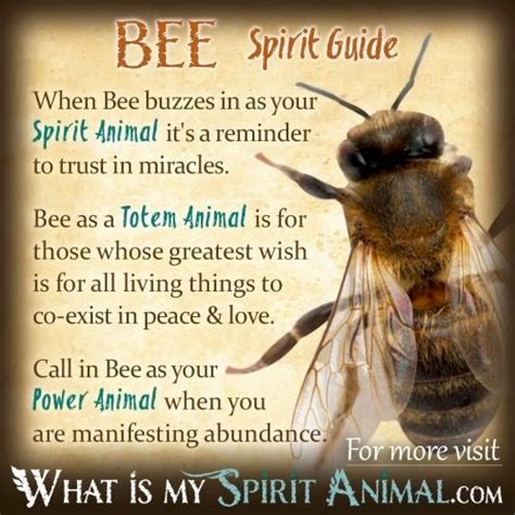 A Bee With The Words Bee Spirit Guide On Its Back And An Image Of A