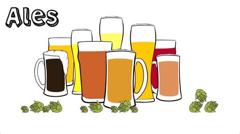 everything you wanted to know about beer full animation youtube