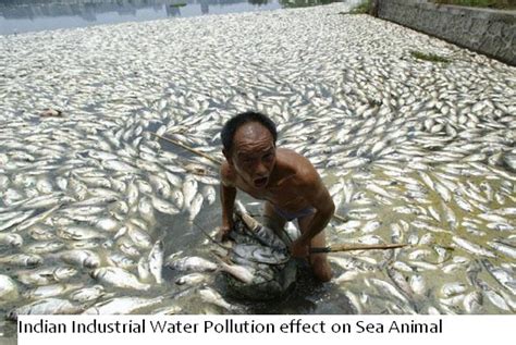 Water Pollution Effects Blog 2015 Indian Industrial Water