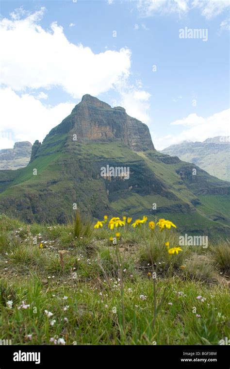 Ukahlamba Drakensberg Mountain Cathedral Peak Stock Photo Alamy