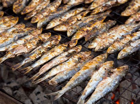 We did not find results for: Buy Sardines Online | Frozen Portuguese Sardines | The ...