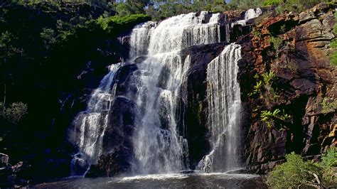 Lakes And Waterways Nature And Wildlife Victoria Australia
