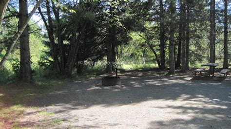 Campsite 18e In Moose Lake State Park Campground At Moose Lake State