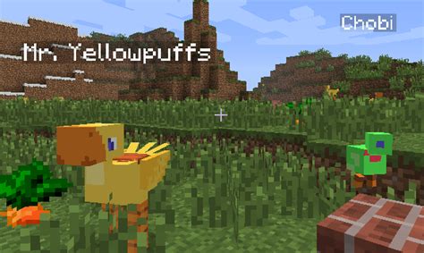 We did not find results for: ChocoCraft Mod