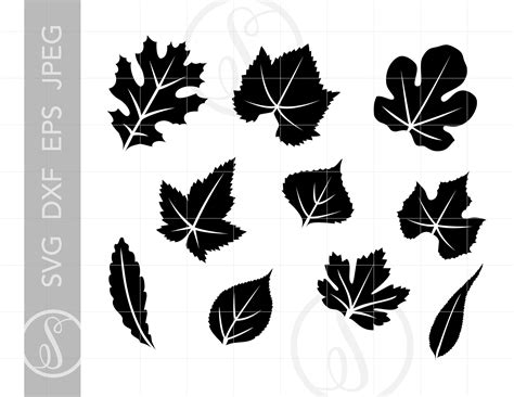 Leaves Svg Leaf Svg Leaves Cut File Leaves Clipart Leaves Silhouette