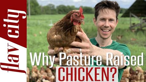 Why You Need To Buy Pasture Raised Eggs And Chicken Bobby On The Farm