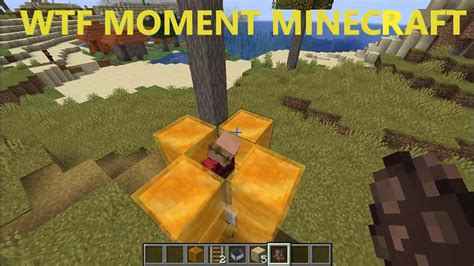 Wtf Moment Minecraft 😮 Youtube