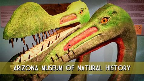 Arizona Museum Of Natural History Youtube