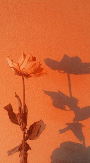 for more 𝑺𝒖𝒅𝒆𝒏𝒖𝒓🌠 lorytha3 orange aesthetic orange wallpaper rainbow aesthetic