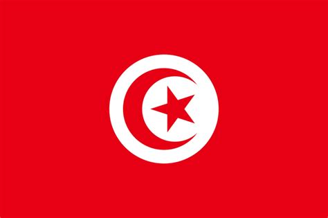 Info tunisie news en direct. Fête de la République: Le drapeau tunisien en question