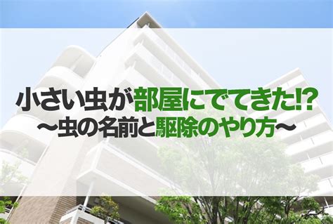 カテゴリー アクション アドベンチャー sf・ファンタジー ecchi ハーレム ラブコメ コメディ くらし・生活 ホラー スポーツ 歴史・時代劇. 家 小さい虫 大量発生 - Hōmuaidea