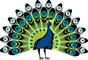 Peacock png clipart and images | Peacock drawing, Art nouveau illustration, Peacock outline