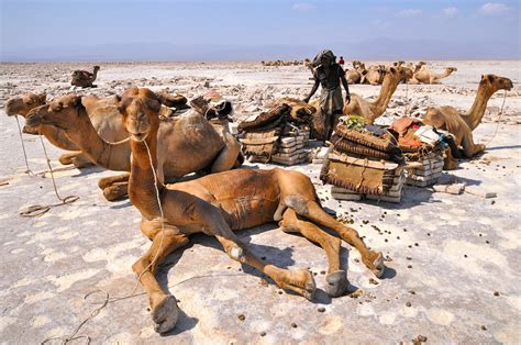 Ethiopia Dancalia Salt Desert Donatella Venturi Flickr