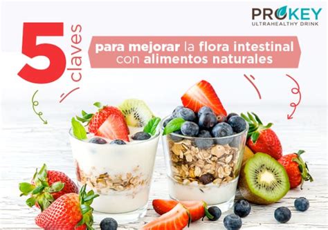 La flora intestinal son microorganismos que nos ayudan a hacer la digestión. 5 Claves para Mejorar la Flora Intestinal con Alimentos Naturales - Prokey