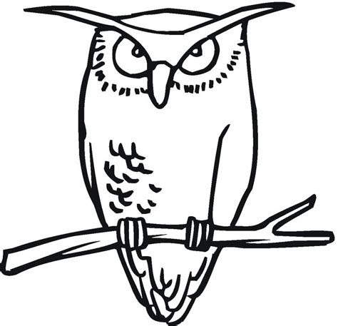 Owl Clipart Black And White Free Download On Clipartmag