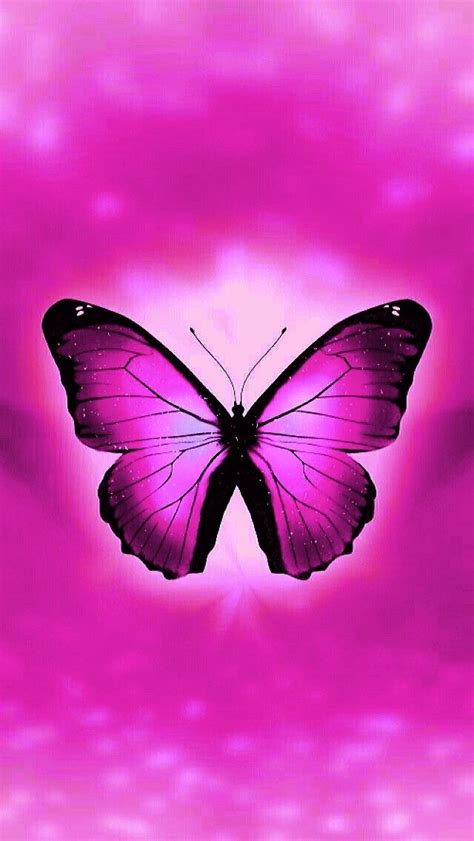 View Wallpaper Pink Wallpaper Butterfly Images Pictures Bondi Bathers
