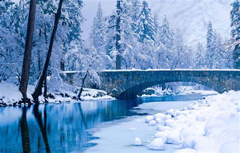 Wallpaper Winter Snow Trees Ca Usa Yosemite National Park The