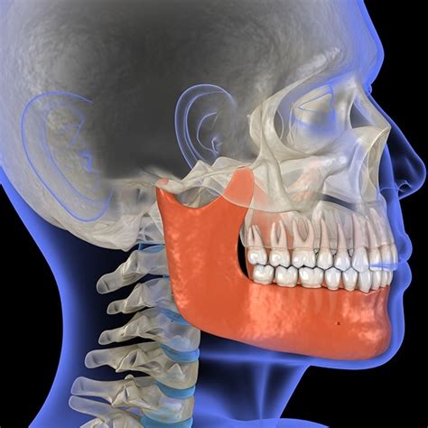Tmj Treatment Houston Tx Jaw Pain Relief Oral Surgery