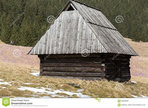 Wooden Huts In Chocholowska Valley In Spring Tatra Mountains Poland