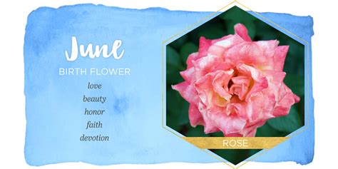What Is The June Birth Flower
