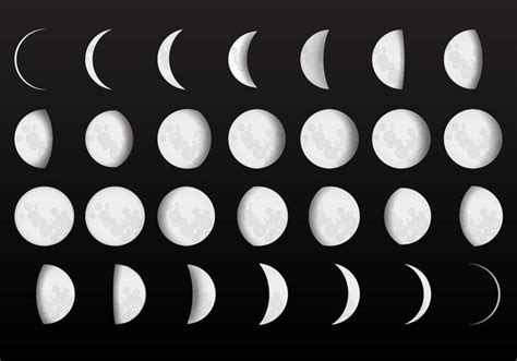 Complete Moon Phase Vectors Download Free Vector Art Stock Graphics