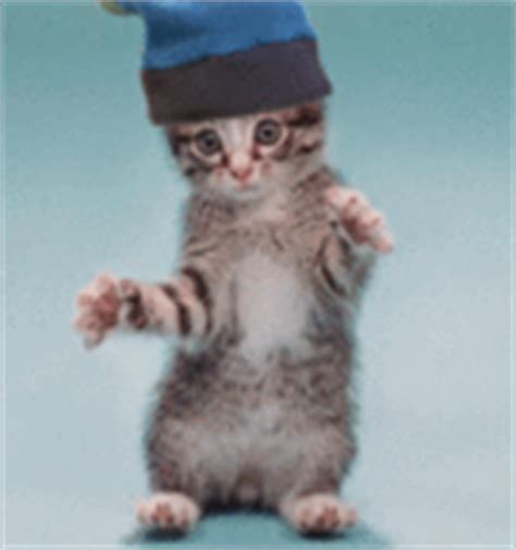 You can find many interesting dancing japanese emoticons in dancing categories. Emoticons for funny Dancing Kitten on Facebook/MSN/Yahoo
