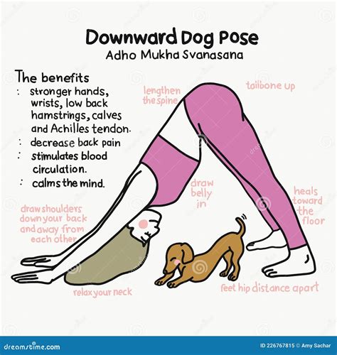 Downward Dog Yoga Pose And Benefits Cartoon Illustration Stock Vector