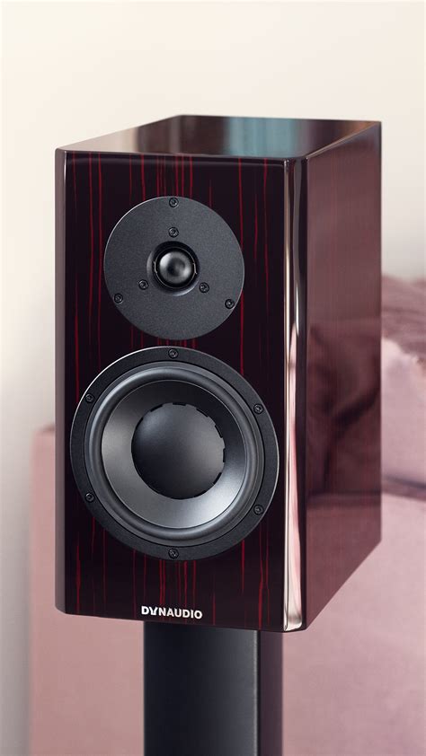 Dynaudio Special 40 Monitor Speaker Pair Black Vine Dedicated Audio