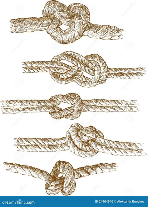 Rope Knots Stock Photo Image 24904540
