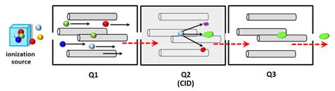 A peptide mixture is electrosprayed into the mass spectrometer. 7. The tandem mass spectrometry based on triple quadrupole ...