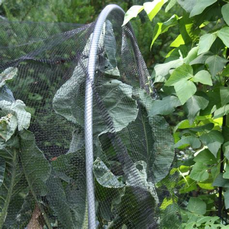 Check spelling or type a new query. Butterfly Netting Rigid Plastic Mesh - Harrod ...