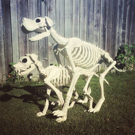 Crazy Bonez Cool Skeleton Pets Diy Halloween Decorations