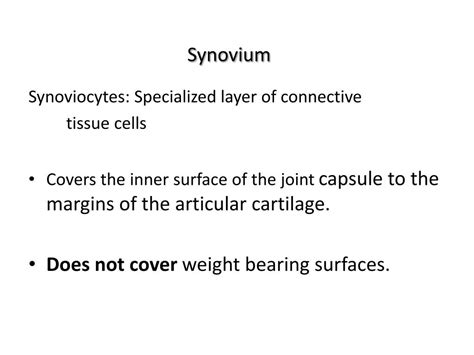 Ppt Synovial Joints Powerpoint Presentation Free Download Id5879919