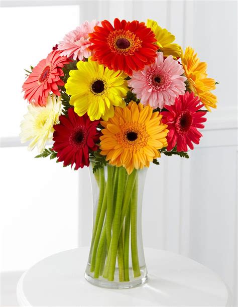 Colorful World Gerbera Daisy Bouquet 12 Stems With Vase With