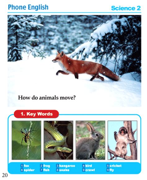 Junior English Science 2 How Do Animals Move