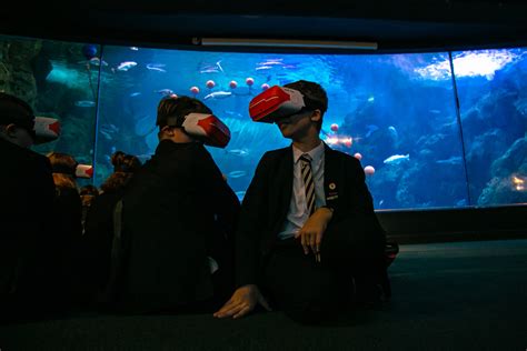 Learn At Our Aquarium Ocean Education Ocean Conservation Trust