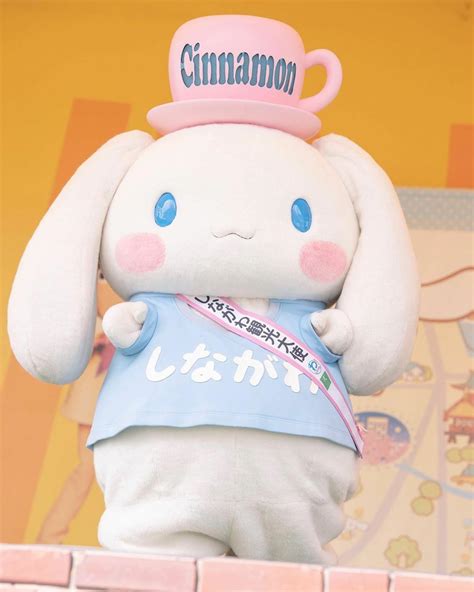 Cinnamoroll Hentai Theme Park Sanrio Cinnamon Snoopy Puppies Friends Baby Character