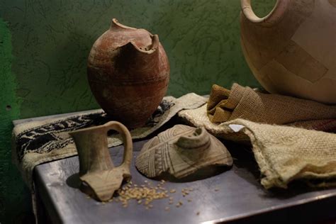 Israeli Scientists Brew Groundbreaking Ancient Beer From 5000 Year