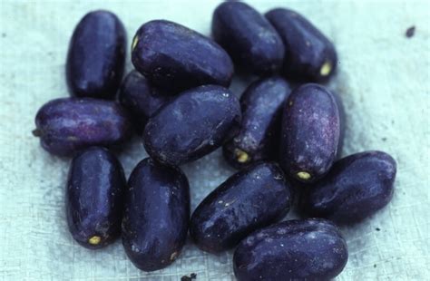 The Correct Way To Prepare African Pear Or Ube In Nigeria Dnb Stories