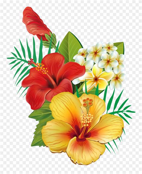 Hawaiian Flower Drawing Hibiscus Flower Drawing Hawaiian Flowers