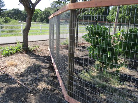 Maybe you would like to learn more about one of these? 2×4 WELDED WIRE « Arbor Fence Inc | a Diamond Certified ...