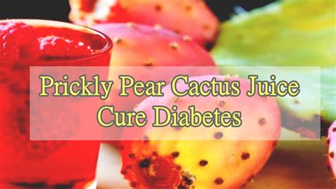 Of course, those who drink alcohol should but that doesn't make it a safe drink. Prickly Pear Cactus Juice Cure Diabetes - YouTube