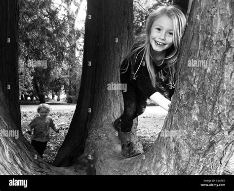 Little Girl Climbing Tree Stock Photo Alamy