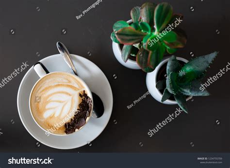 Coffee Plants Stock Photo 1234755709 Shutterstock