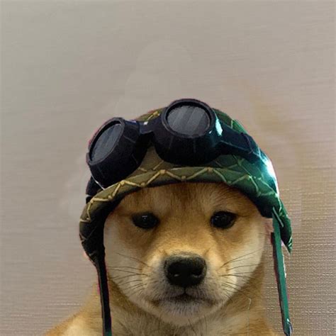 🖤 Dog With Hat Meme Original 2021